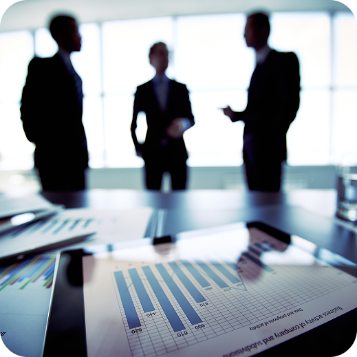 Areen Business Solution